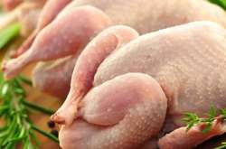 ЗМІ: Українські виробники курятини реалізують м'ясо українцям дорожче ніж в Європу, незважаючи на держдотації