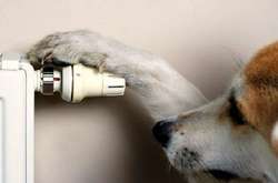 У «Нафтогазі» розповіли, в яких регіонах «прикрутили» найбільше