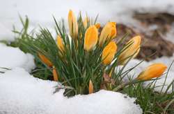 Синоптик розповіла про погоду на найближчі дні