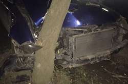 «А в чем проблема?»: в Ужгороде пьяный в стельку водитель врезался в дерево (видео)