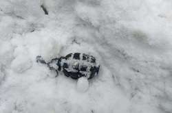 Гранати з наметового містечка під Радою виявилися бойовими - ГПУ