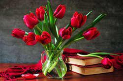 На Житомирщині селищна рада виписала своєму голові премію до 8 березня