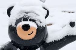 Збірні КНДР і Південної Кореї на церемонії відкриття Паралімпіади вирішили йти окремо