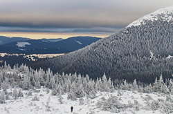 На Прикарпатті рятувальники знайшли столичного туриста, який загубився 7 березня
