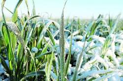 Синоптик розповіла, коли в Україну повернуться морози