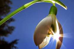 После потепления в Украину вернутся морозы