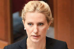 Нардеп підозрює міграційну службу у співпраці з іноземними спецслужбами 