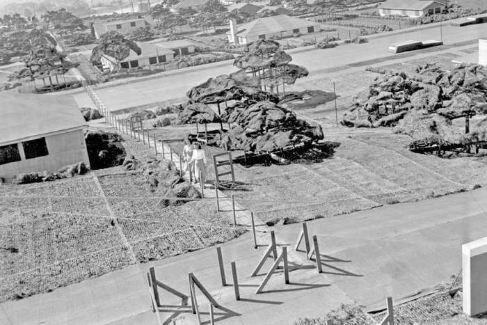 Архівні фото фейкового міста, створеного компанією Boeing під час Другої світової війни