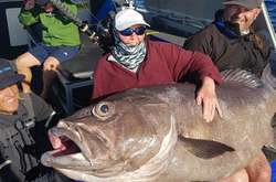 «Размером с диван»: в Австралии женщина поймала гигантского окуня (фото)