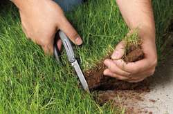 На Вінниччині сільський голова «подарував» своїм родичам понад 10 га  землі