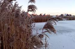 За порушення правил рибальства у чоловіка конфіскували дерев’яний човен