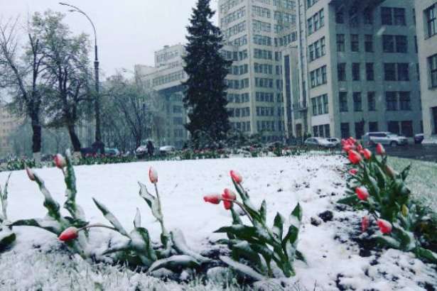 Дороги Одеси і області знову замете снігом: повертається зима