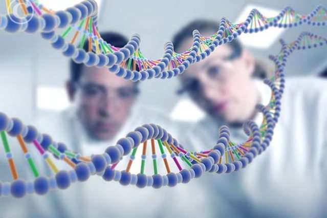 Виявлено 538 генів, які відіграють важливу роль в інтелектуальних здібностях