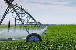 Площа зрошуваних земель в окупованому Криму скоротилася вдесятеро