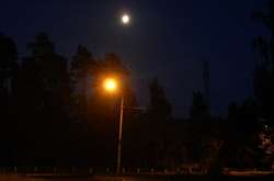 У Кілії розстріляли два десятка ліхтарів