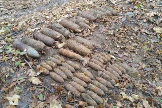 Жахлива знахідка на Вінниччині: діти збирали проліски, а знайшли боєприпаси