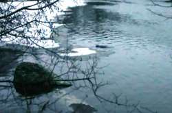 Жахливе самогубство на Житомирщині: жінка стрибнула з 45-метрового мосту 