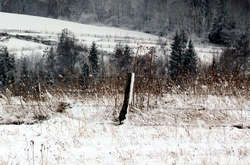 Колишній депутат на Буковині йшов додому після бані, впав і помер