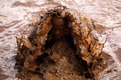 В Ізраїлі пройшла гонка на виживання в бруді. Яскраві фото