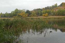 Київська влада візьметься за вирішення катастрофи Совських ставків