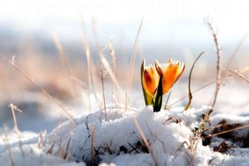 Весняне рівнодення: в Україні сніг, місцями з дощем