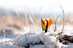 Весняне рівнодення: в Україні сніг, місцями з дощем