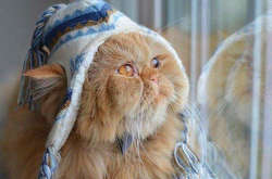 Синоптик розповіла, якою буде погода у найближчі дні 