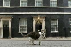 Даунінг-Стріт