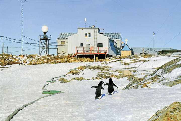 Науковці розповіли, чим займаються українці в Антарктиці