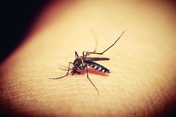 У Харкові зафіксовано другий за рік випадок захворювання малярією 