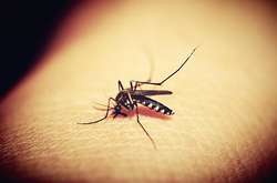 У Харкові зафіксовано другий за рік випадок захворювання малярією 