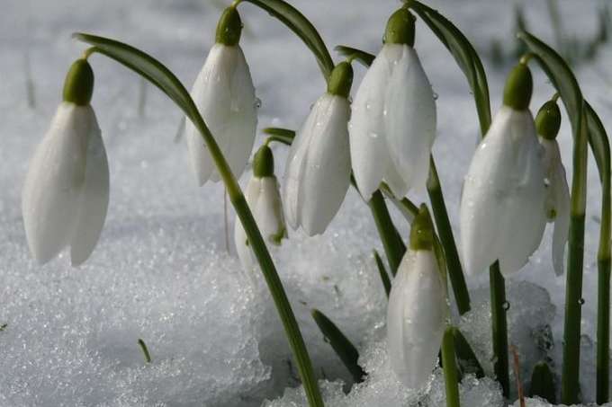 22 березня у Києві буде морозно: цей день - провісник весни