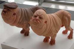 Гібридність