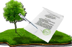 У держвласність повернуто майже 13 га лісів під Києвом