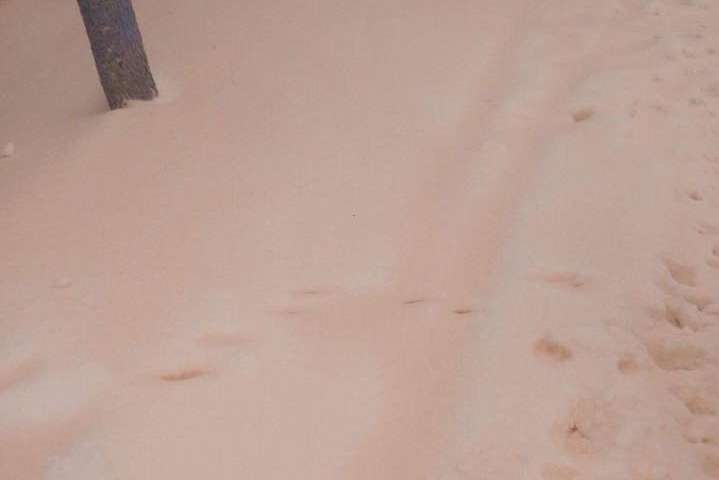 На Одещині випав рожевий сніг (фото)