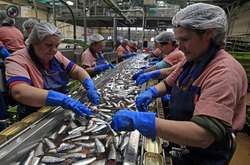 Україна та Польща в квітні запускають кампанію для заробітчан