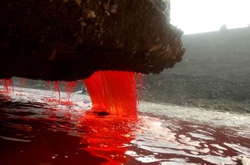 Раскрыта тайна кровавого водопада в Антарктиде (фото)