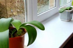 Одеська облрада похвалилася про заміну вікон у сільській школі