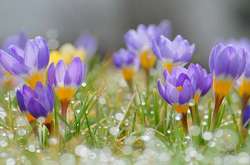 Погода на понеділок: повітря прогріється до +9, місцями опади