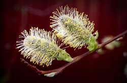 Синоптики прогнозують потепління в Одеській області