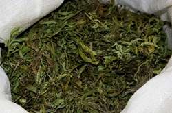 У столичній підземці затримано чоловіка з наркотиками