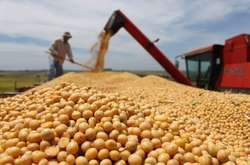 Депутати запропонували компроміс щодо «соєвої поправки» для захисту фермерів та переробників