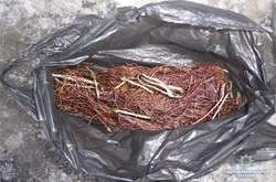 Поліція не дала двом «ділкам» заробити на викраденому кабелі зв’язку