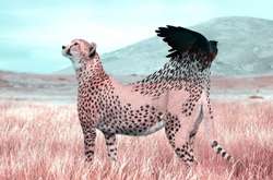 Сюрреалистические работы художника покорили Instagram