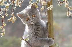 Завтра вже зими не буде: температура повітря почне підвищуватися