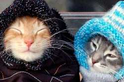 Україну очікують температурні «гойдалки» у найближчі тижні