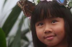 В Лондоне открыли выставку «дружелюбных бабочек» (фото)