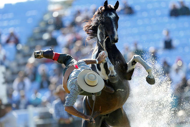 Як на родео в Уругваї сміливі вершники приборкують непокірних коней. Фотогалерея