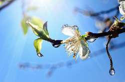 До +20 градусів: в Україну йде довгоочікуване тепло