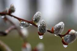 Вербна неділя у Києві буде теплою, але із сильним вітром